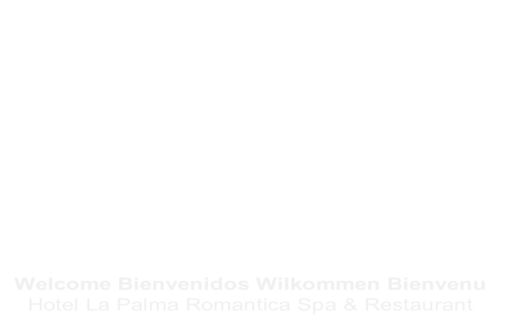 Welcome Bienvenidos Wilkommen Bienvenu 
Hotel La Palma Romantica Spa & Restaurant
